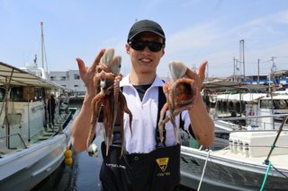 タコ