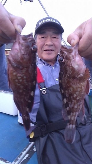 カサゴ