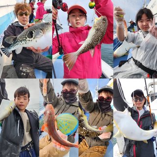 ショウサイフグ