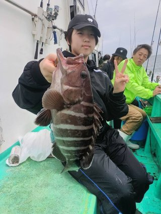 マダイ