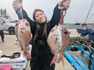マダイ