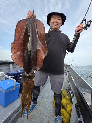 アオリイカ
