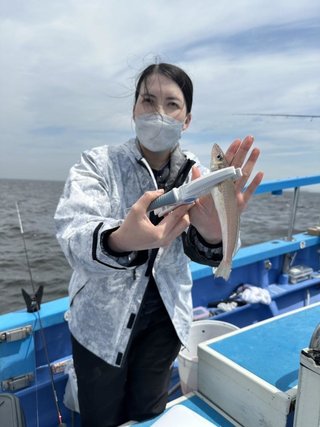 シロギス