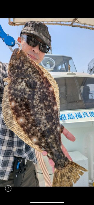 ヒラメ