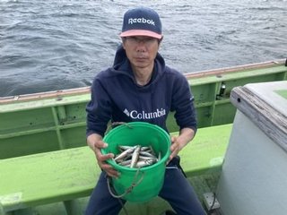 シロギス