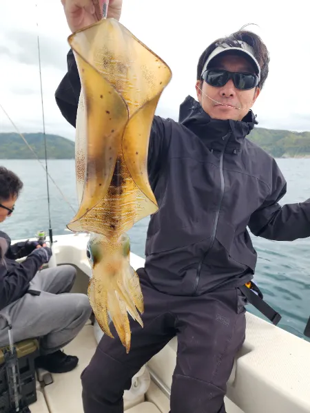 アオリイカ