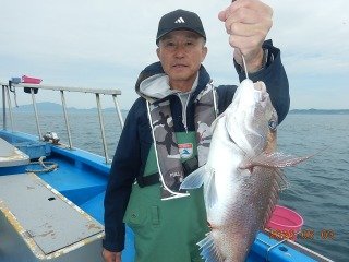 マダイ
