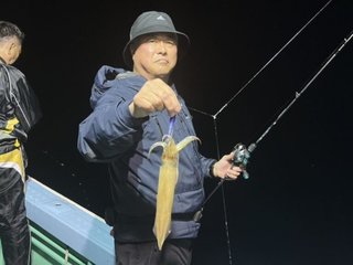 ヤリイカ