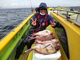 マダイ