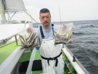 シロギス