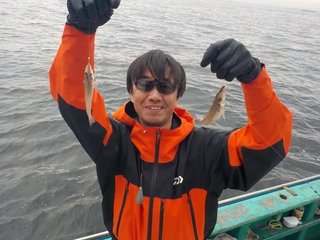 シロギス