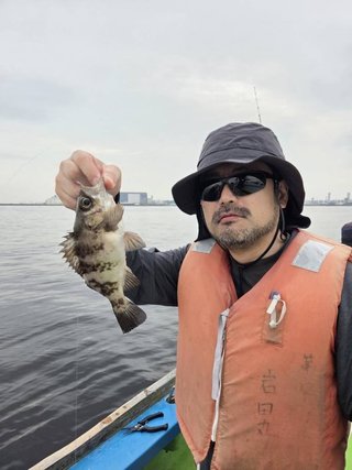 メバル
