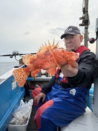 オニカサゴ