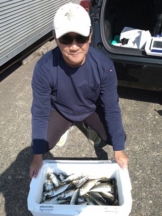 アジ