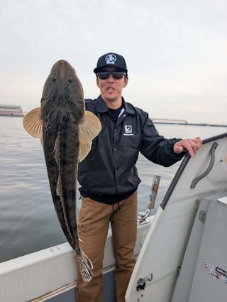 マゴチ