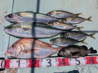 タイ
