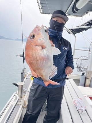 マダイ
