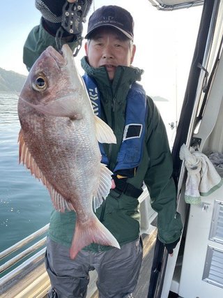 マダイ