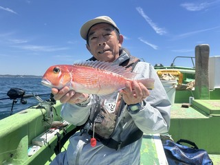 アマダイ