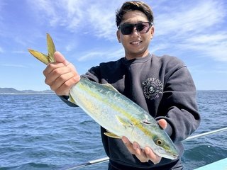 ハマチ