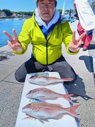 マダイ