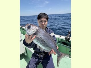 メダイ
