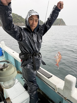 ガシラ