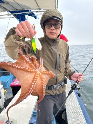 タコ