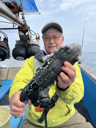 ショウサイフグ