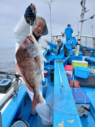 マダイ