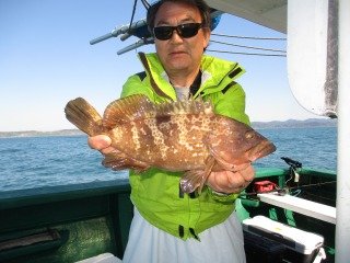 マダイ