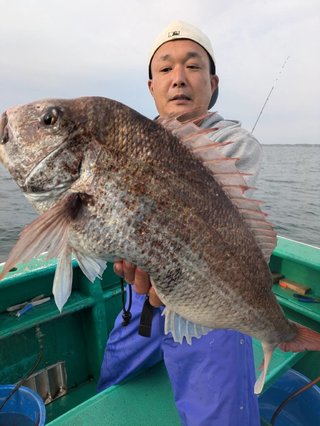マダイ
