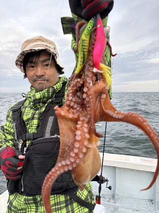 マダコ