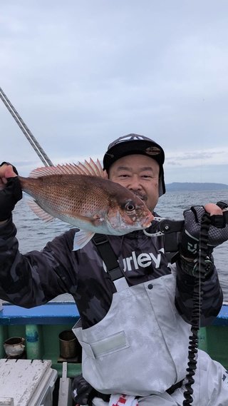 マダイ