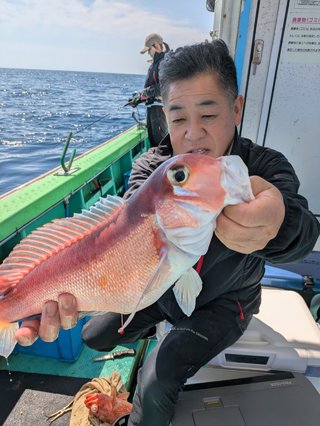 アマダイ