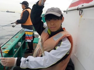 シロギス