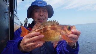 オキメバル