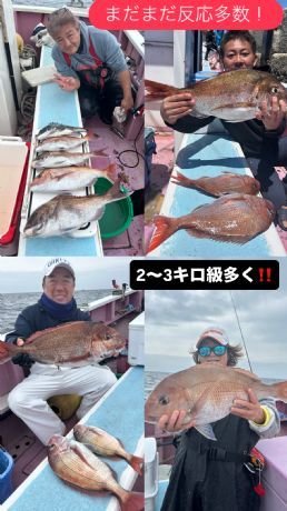 マダイ