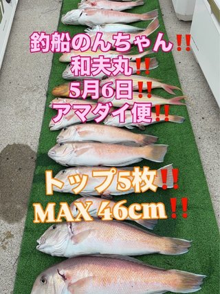 シロアマダイ