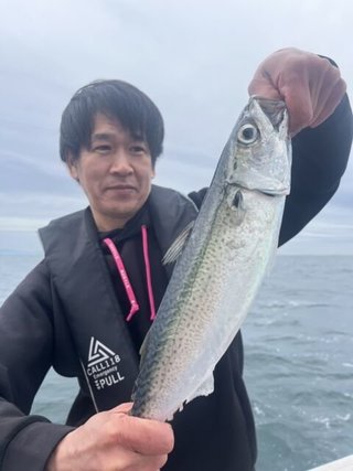 サバ
