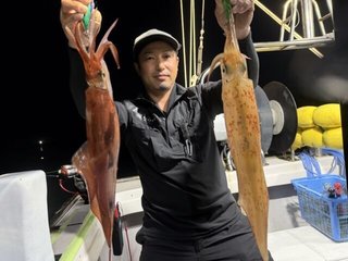 ケンサキイカ