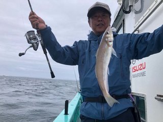 シロギス