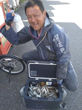 シロギス