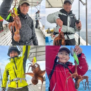 タコ