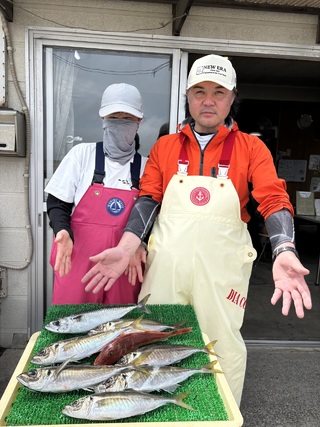 アジ