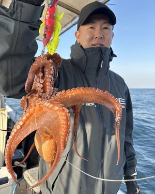 タコ