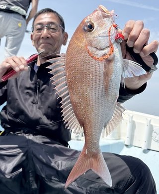 マダイ