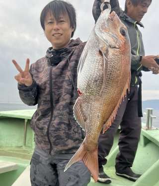 マダイ
