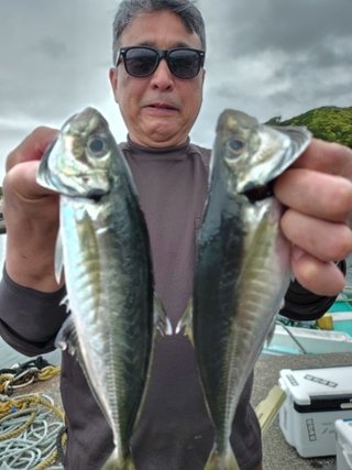 アジ