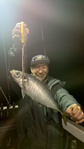 マアジ